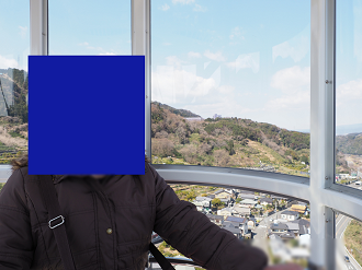 P3110105_thumb.png