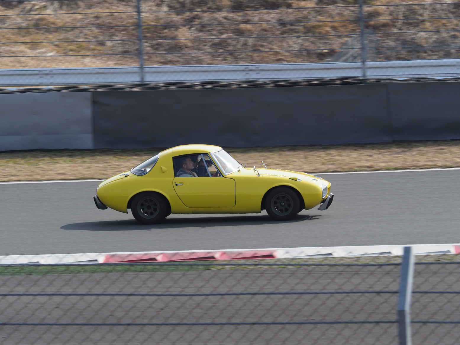 P3120431.jpg