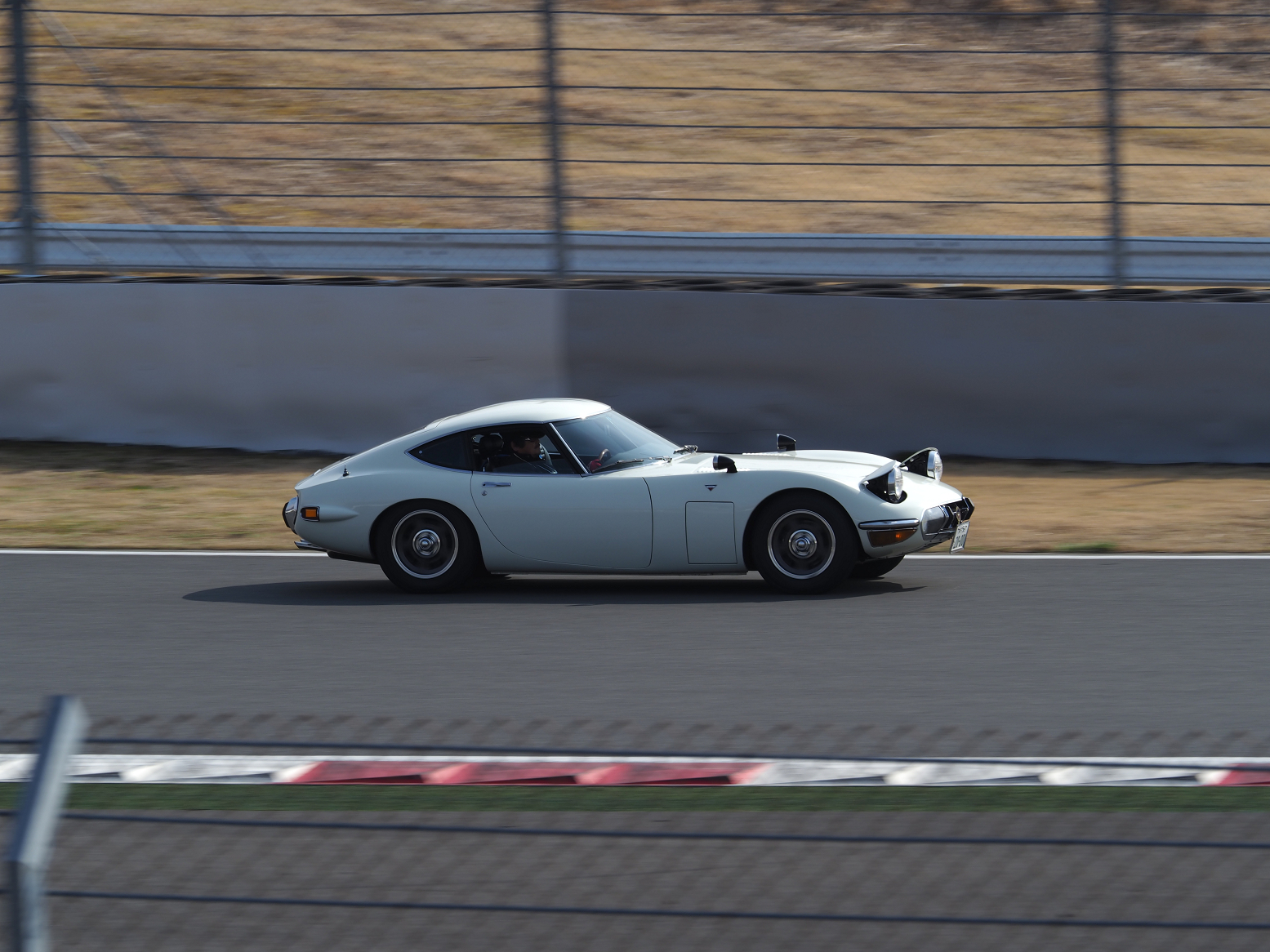P3120461.jpg