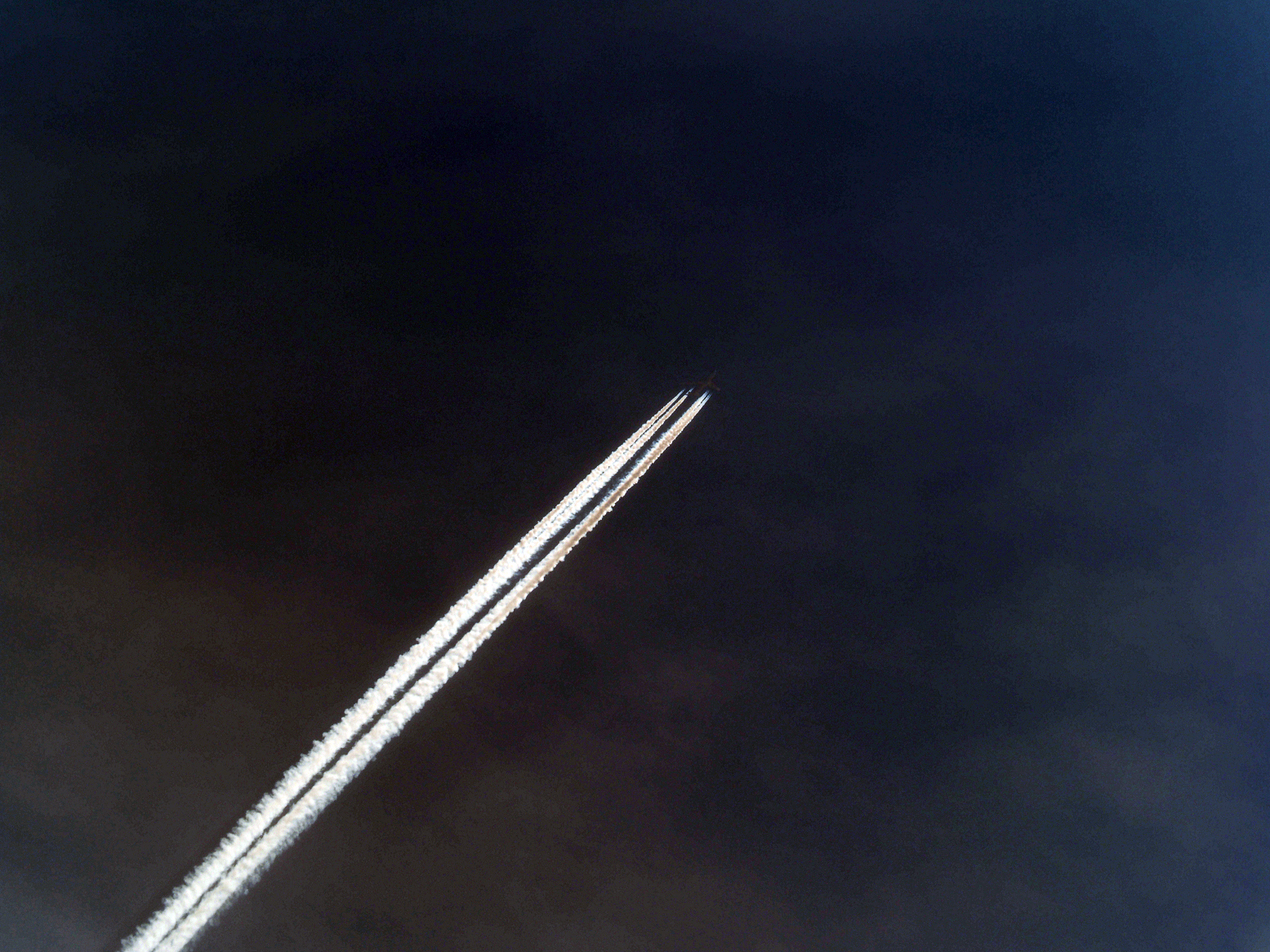 P3120568.jpg