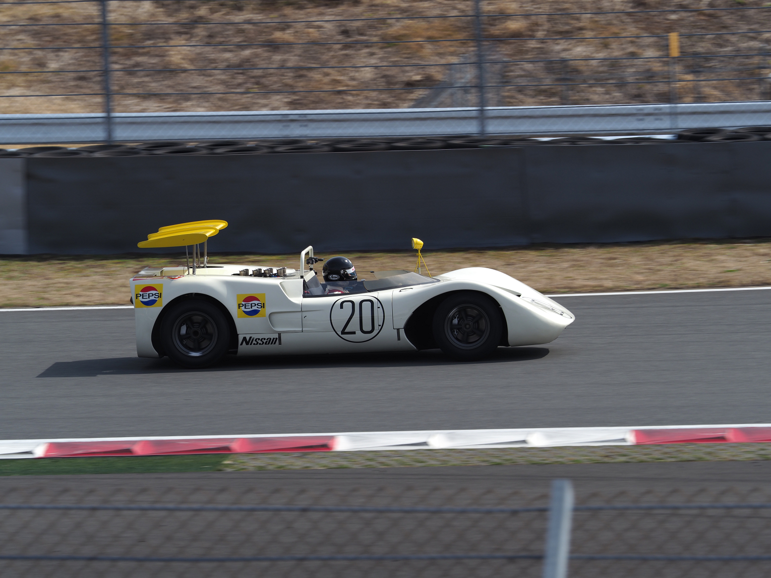 P3120594.jpg
