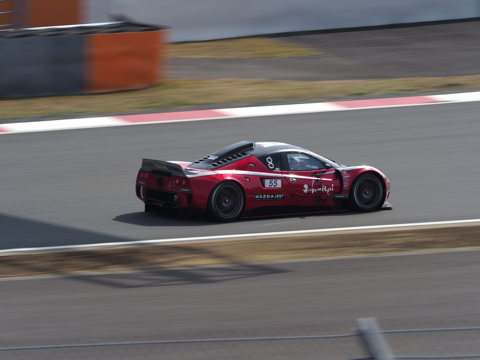 P3120874.jpg