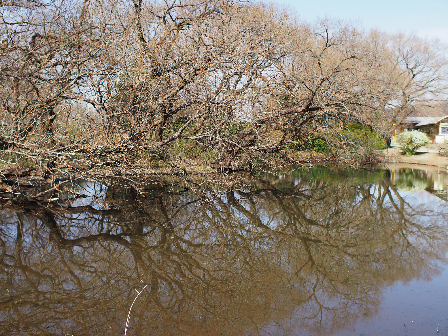 P3250146.jpg