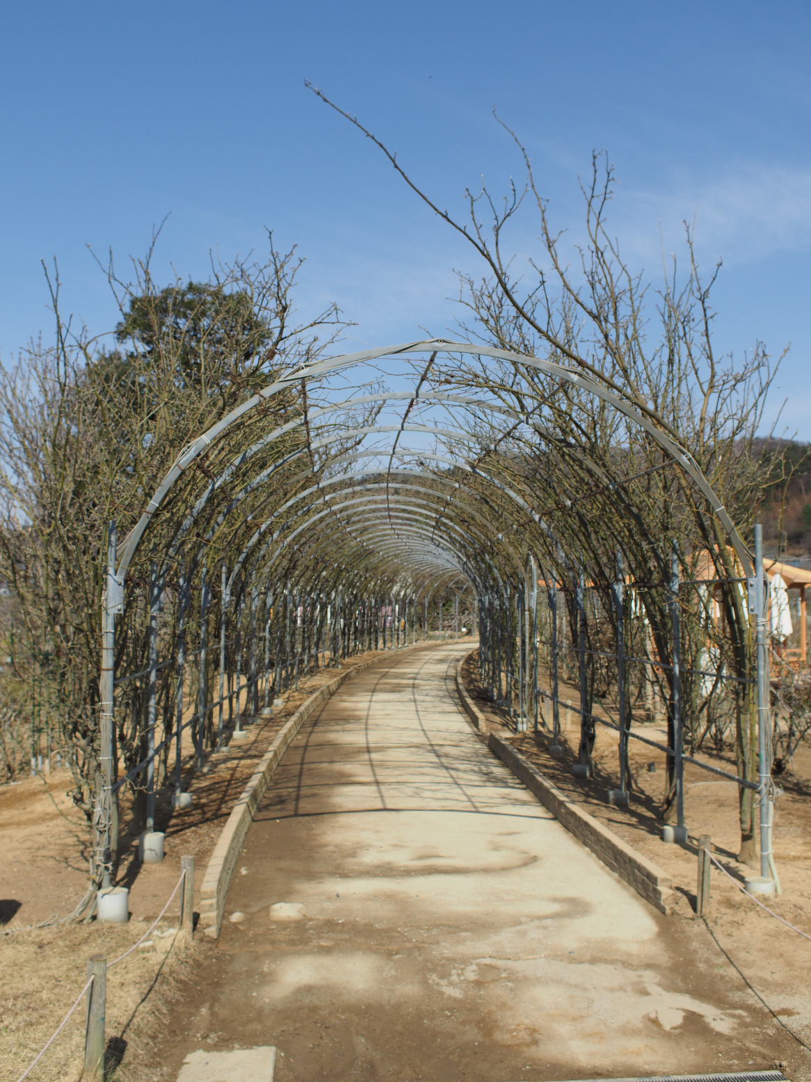 P3250160.jpg