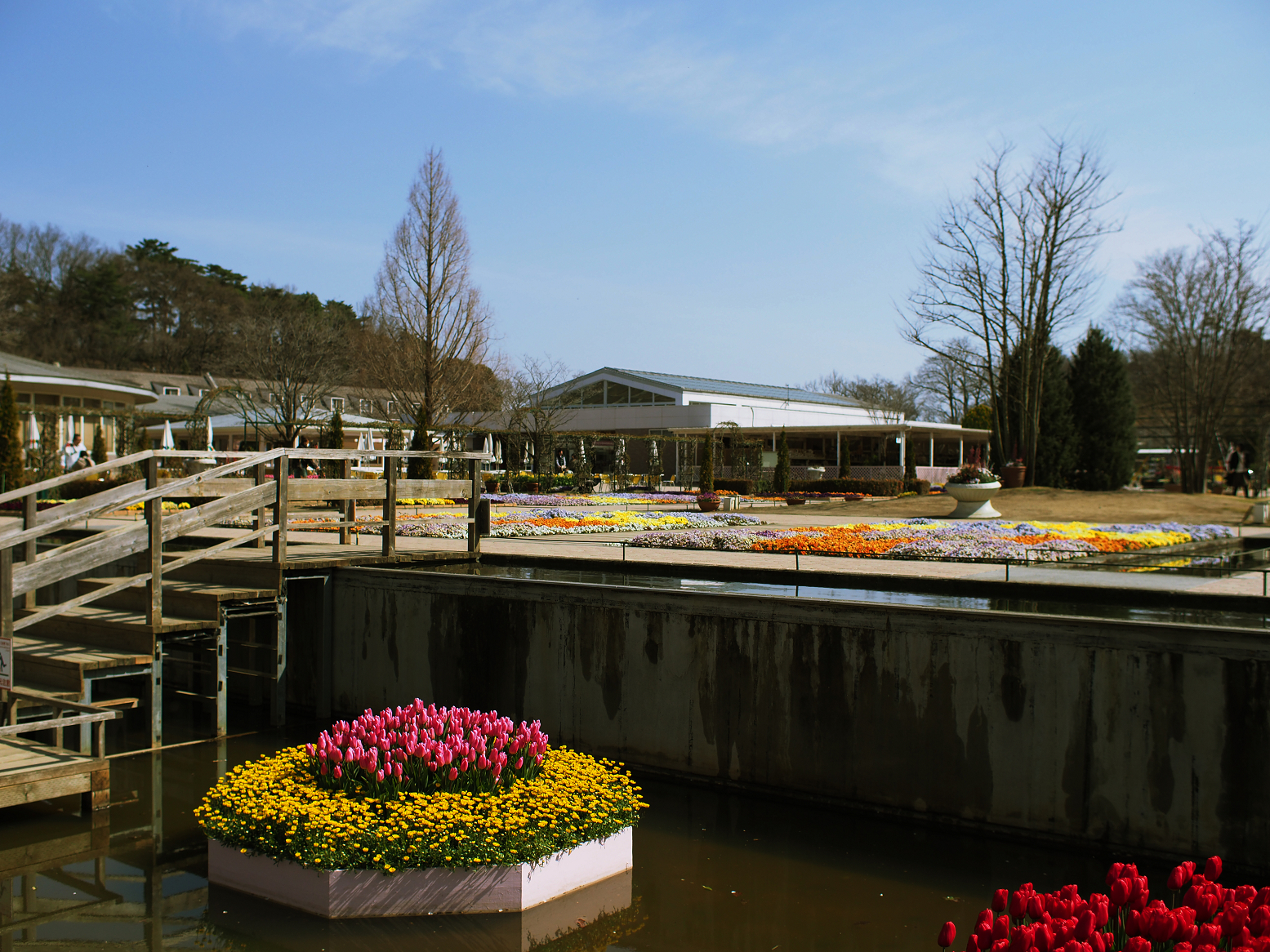 P3250185.jpg