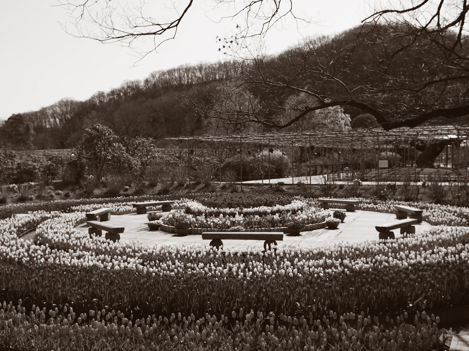 P3250195.jpg