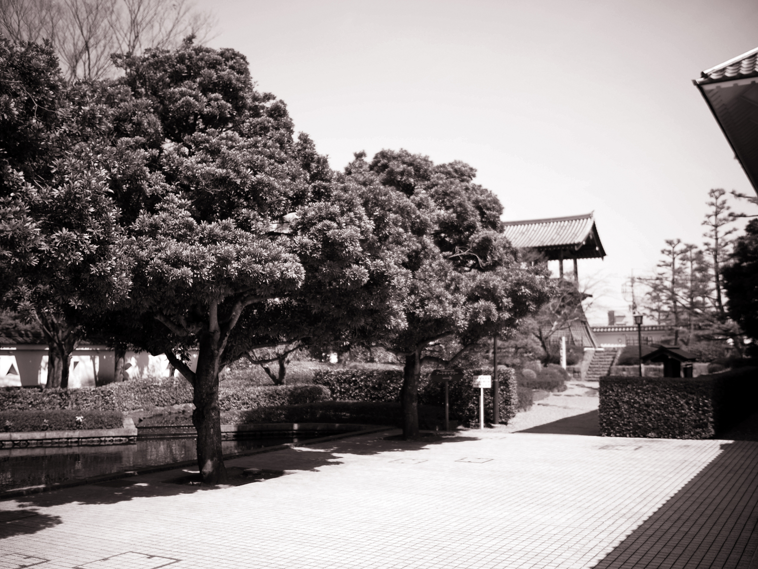 P3250283.jpg