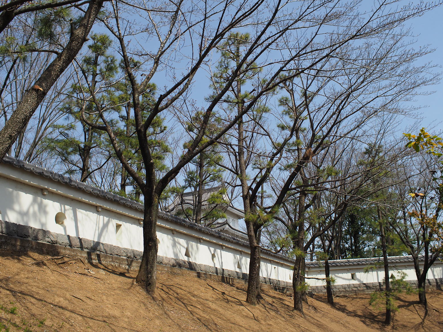P3250289.jpg