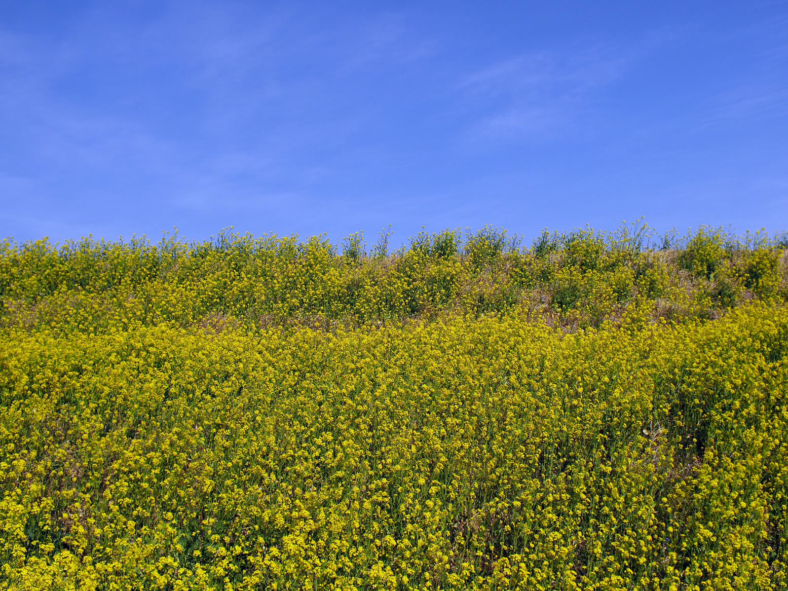 P3250360.jpg