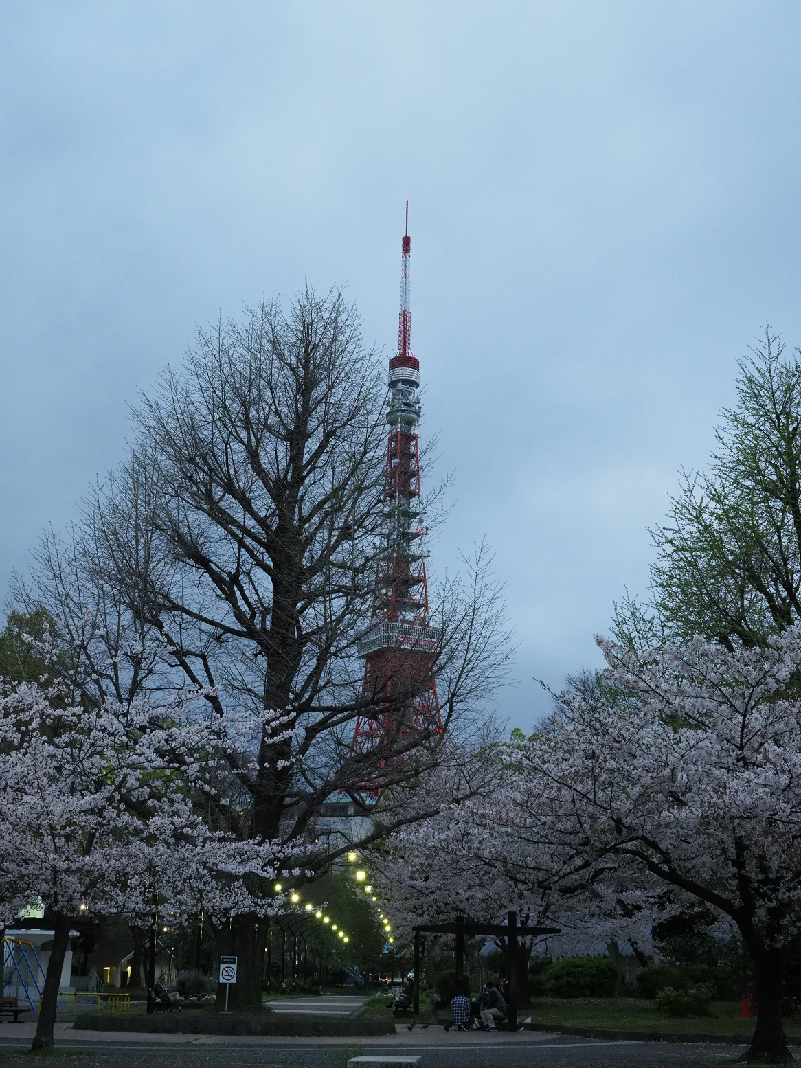 P4120102.jpg