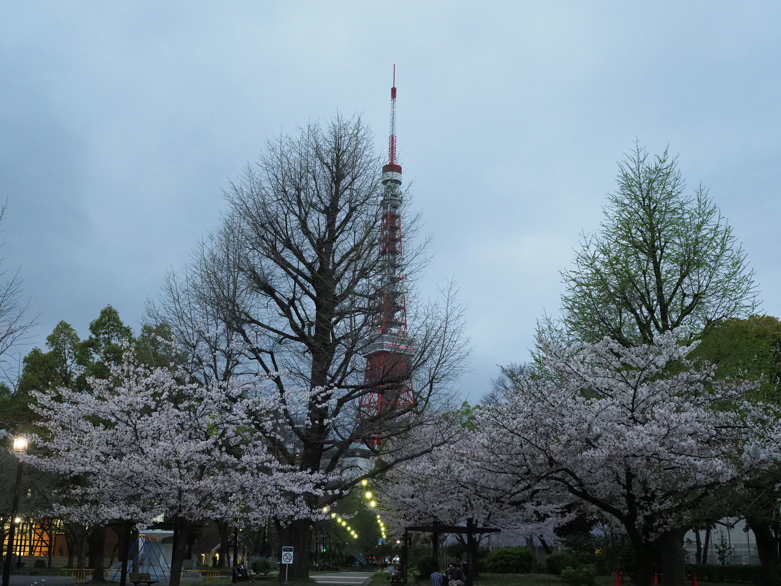 P4120103.jpg