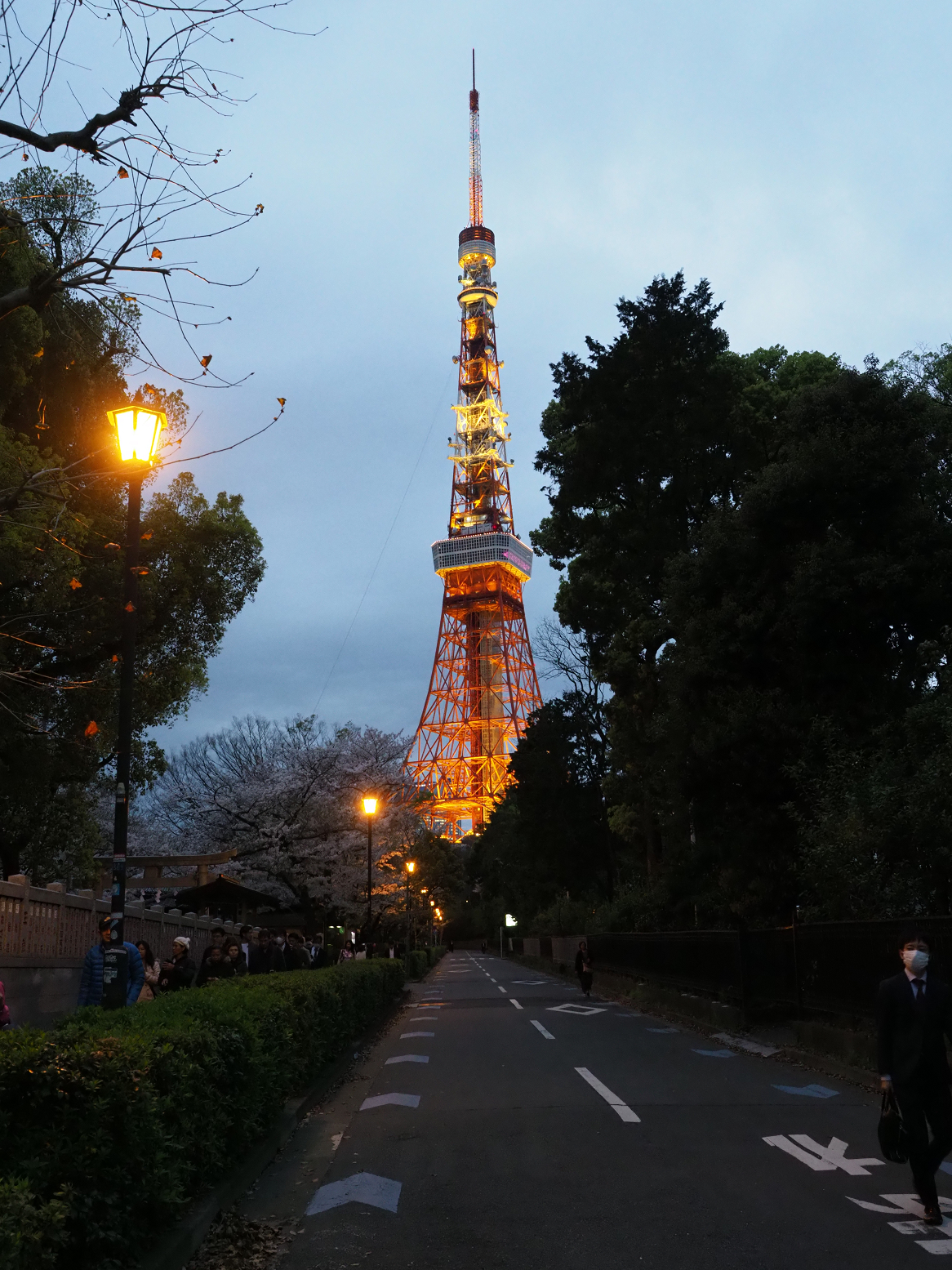 P4120104.jpg