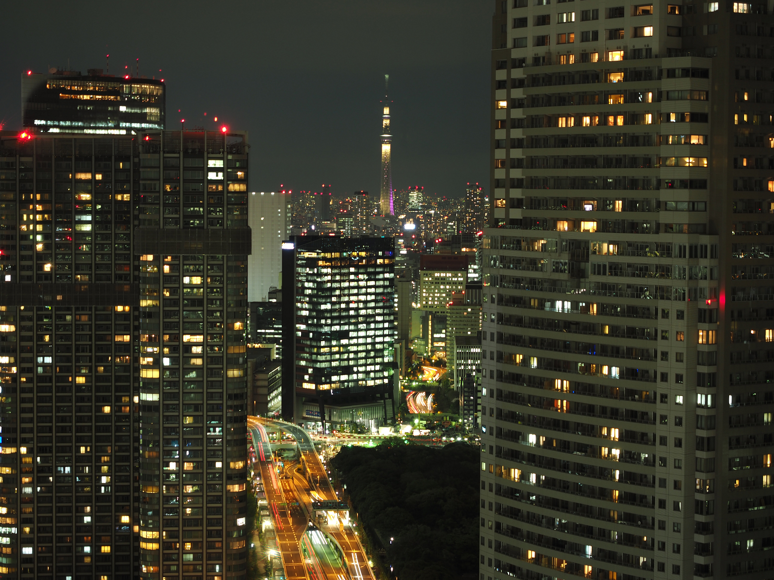 P4120114.jpg