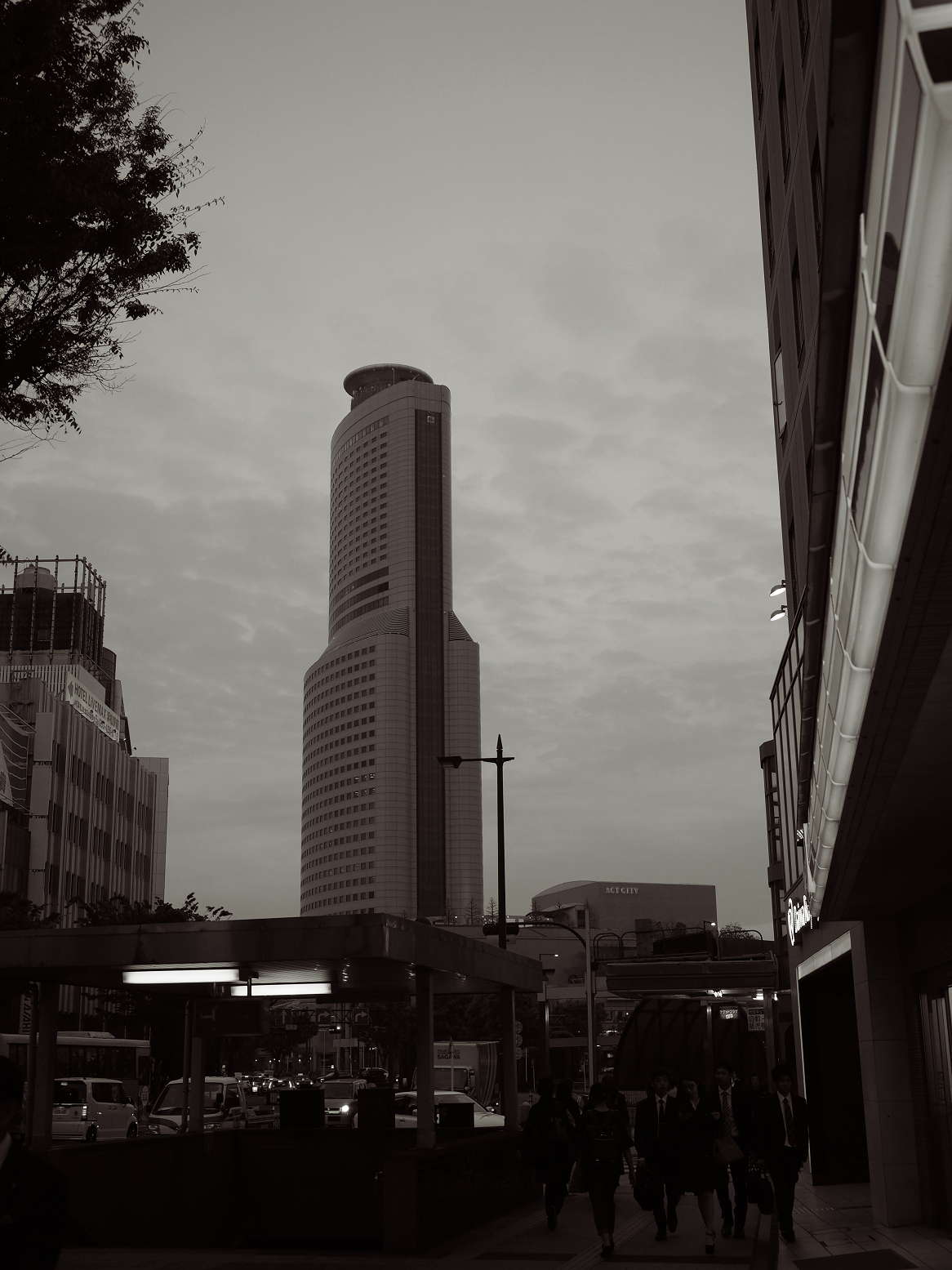 P4210101.jpg