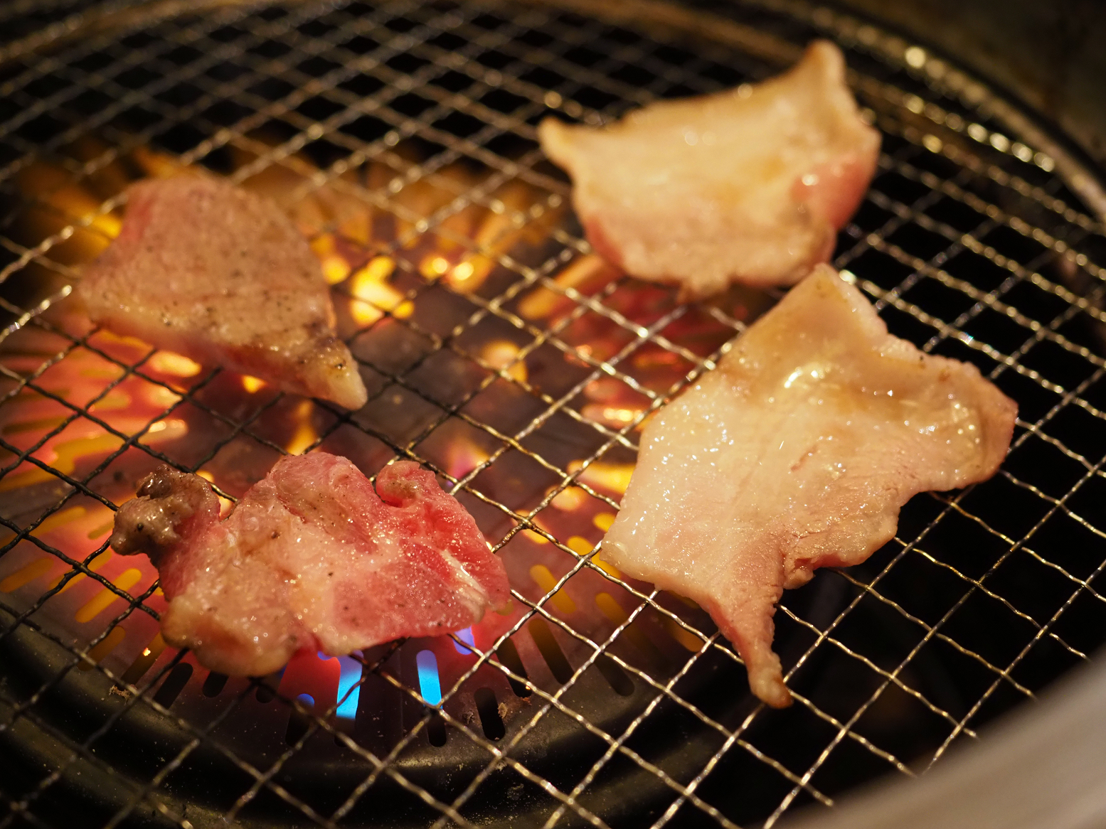 P4210115.jpg