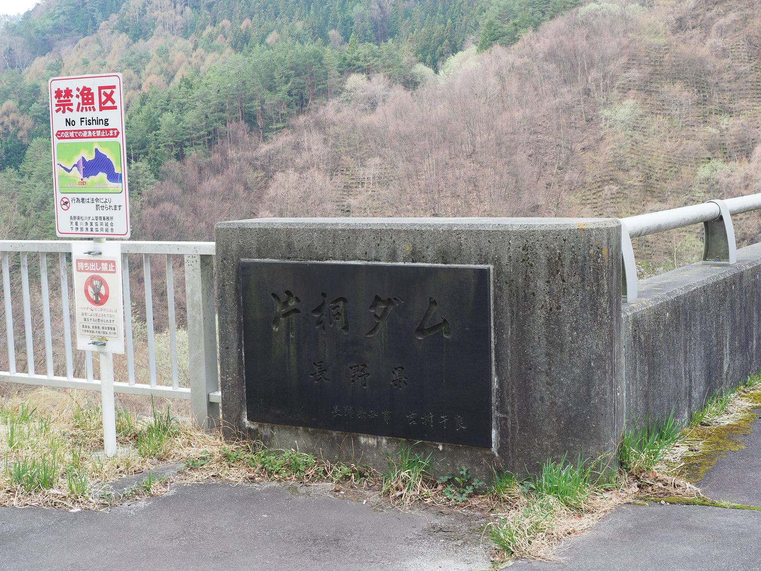 P4220147.jpg