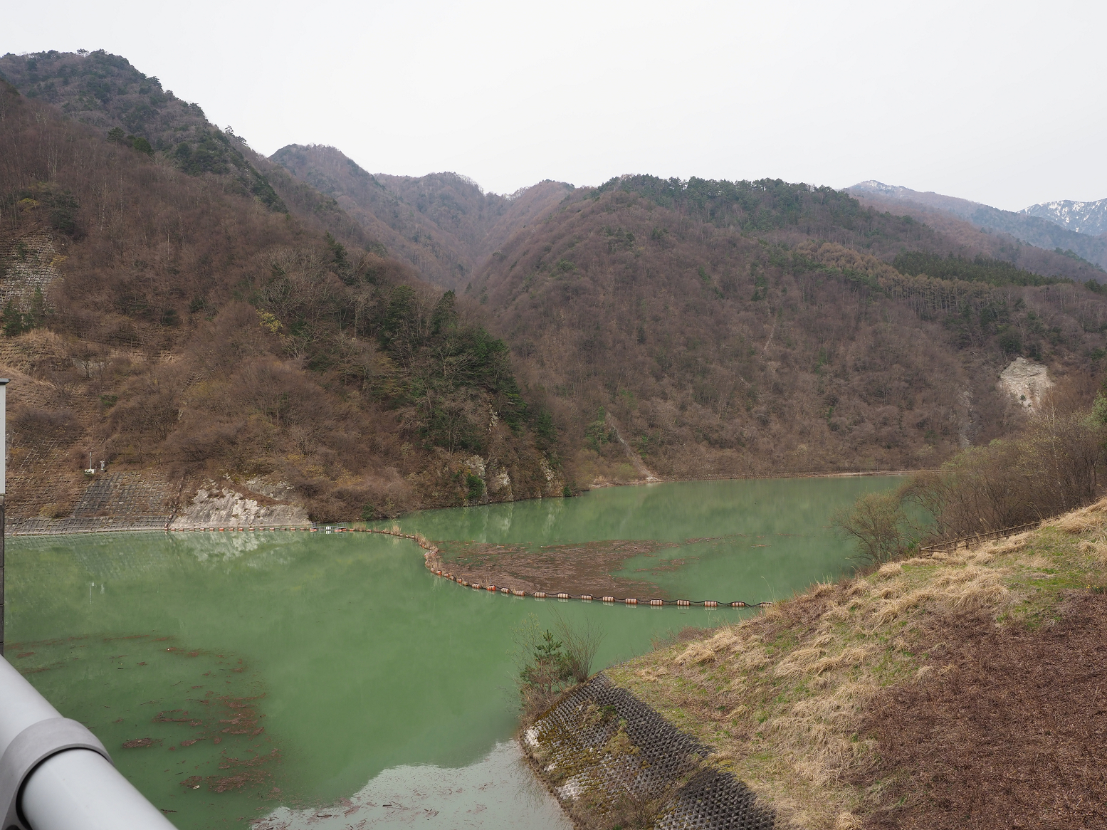 P4220149.jpg