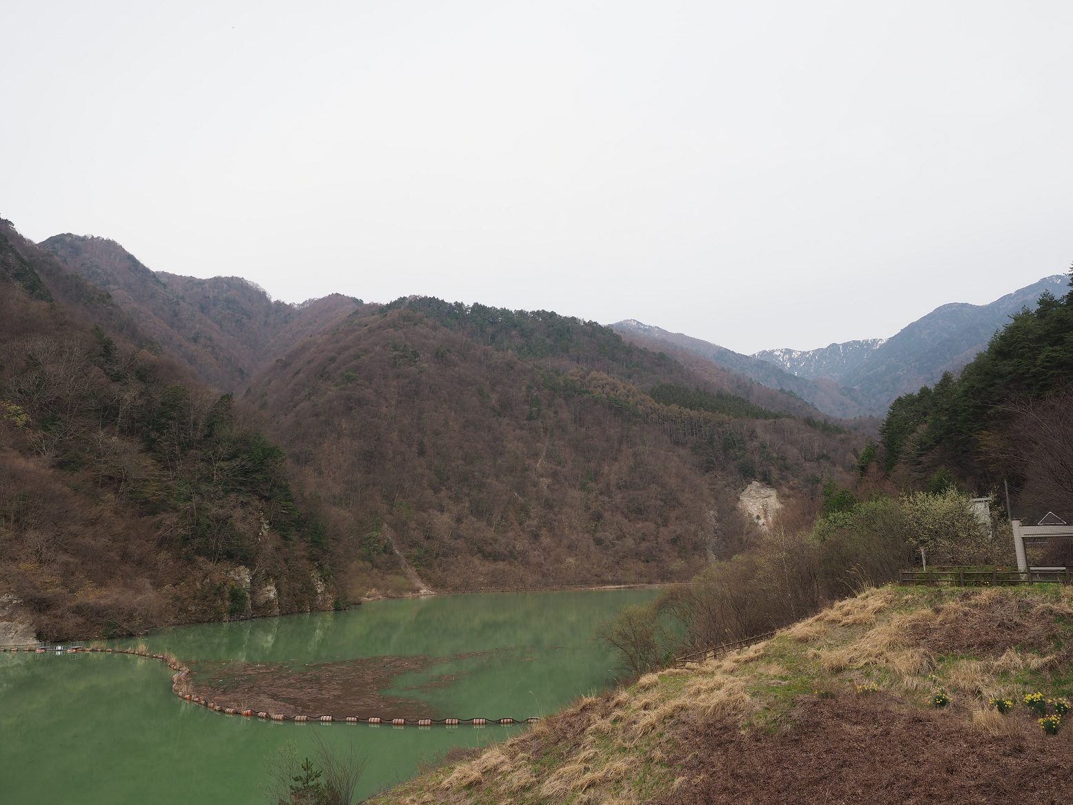 P4220150.jpg