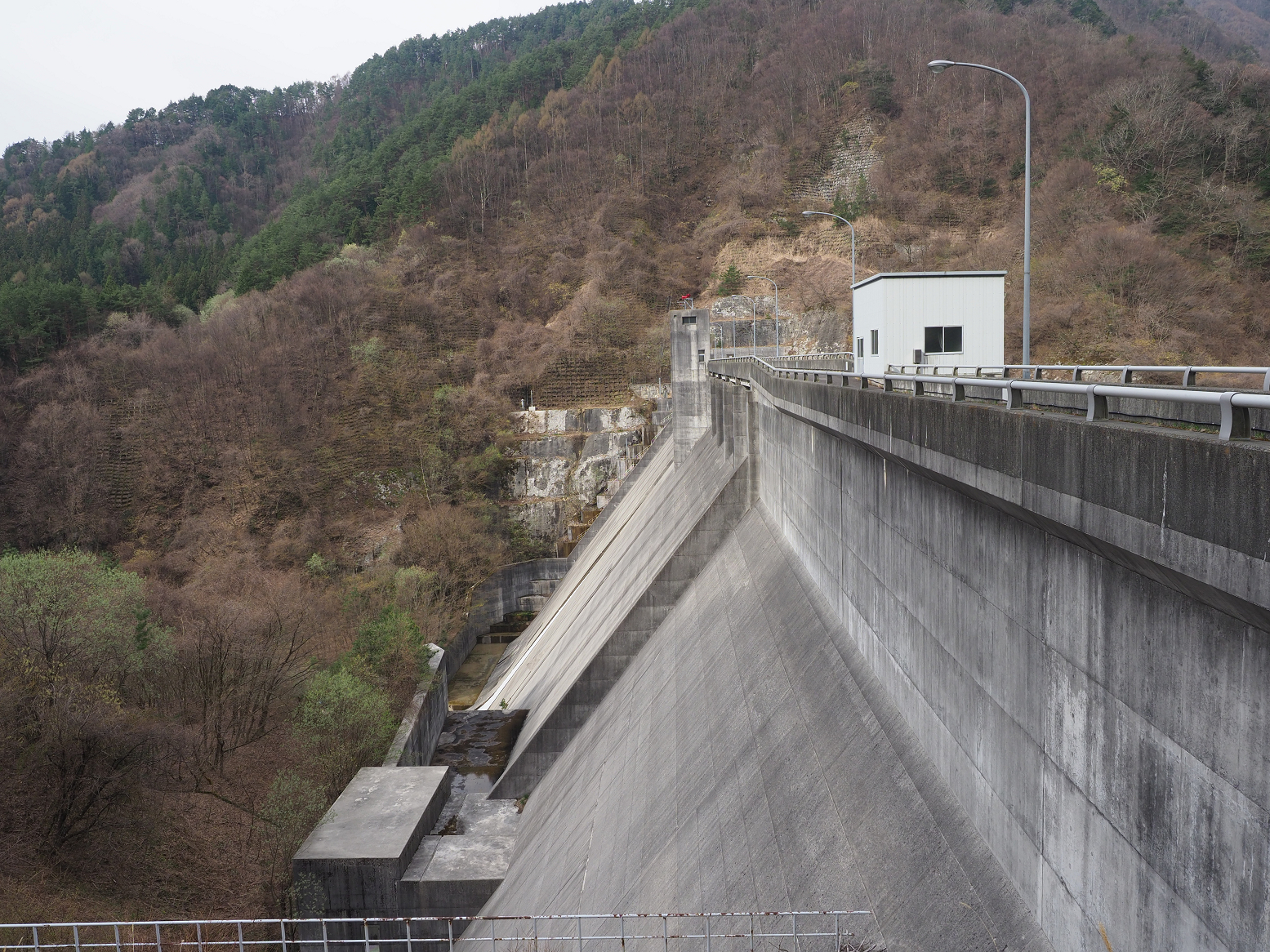 P4220152.jpg