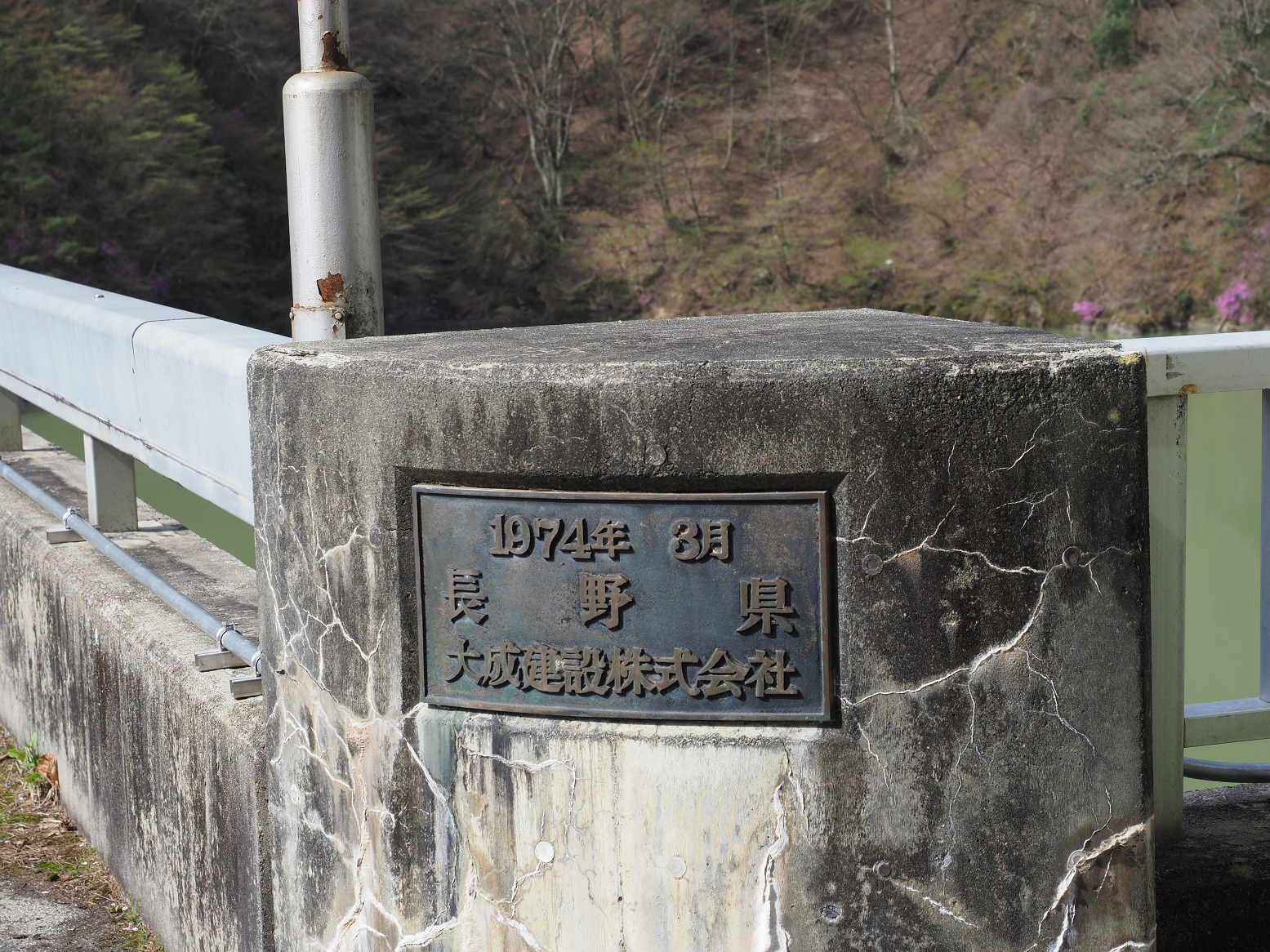 P4220187.jpg
