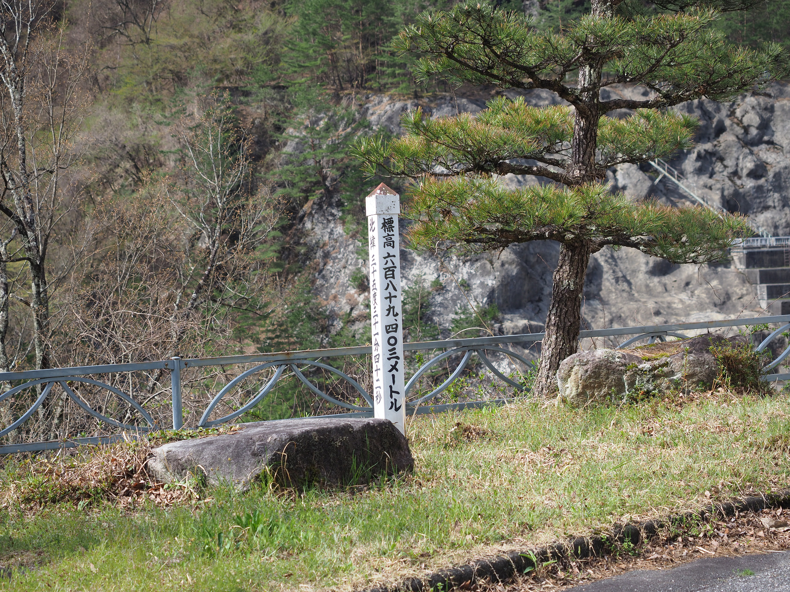 P4220206.jpg