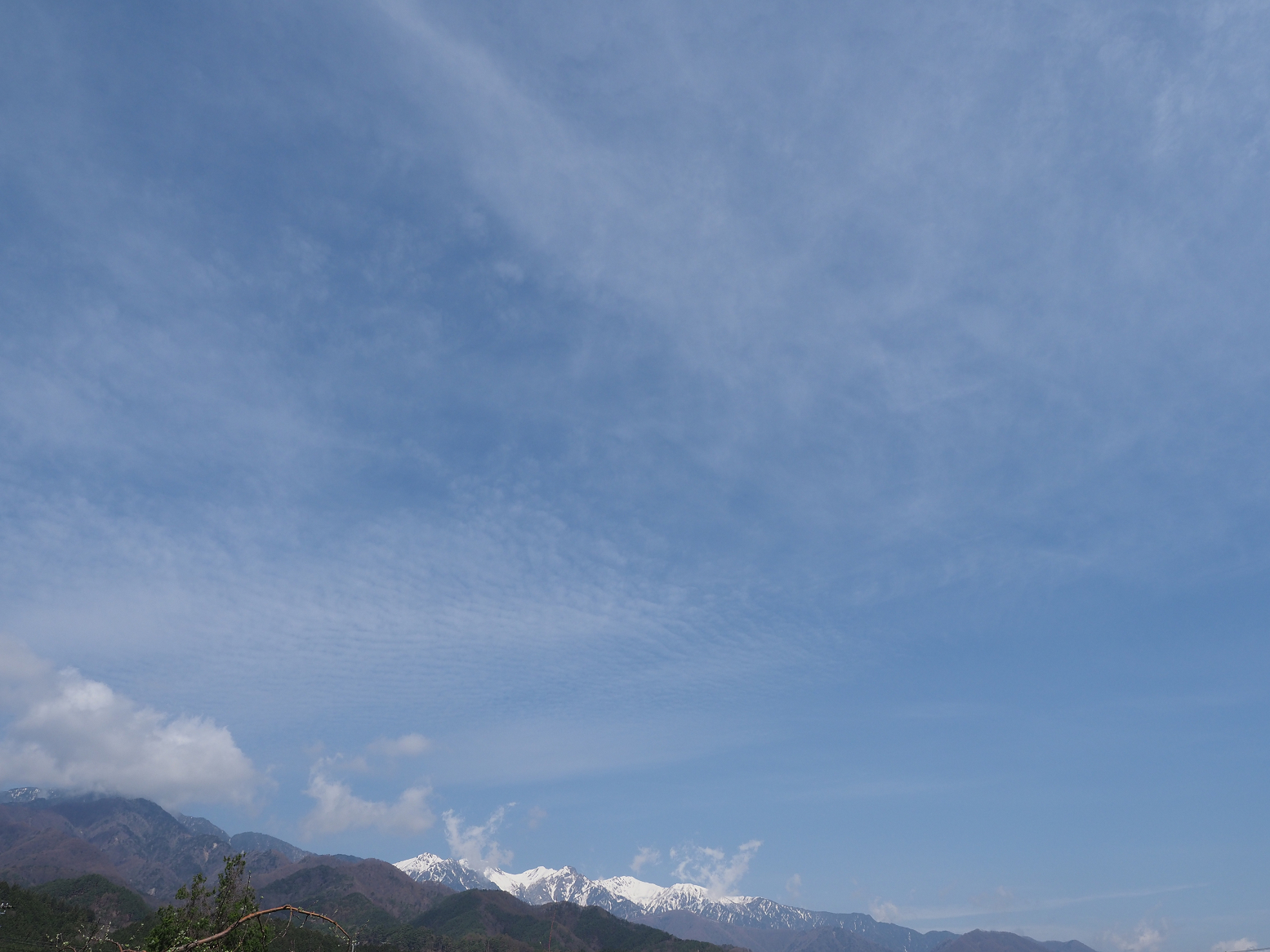 P4220213.jpg