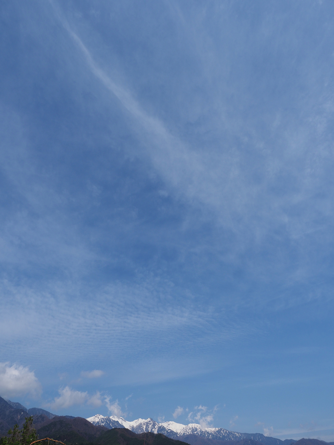 P4220215.jpg