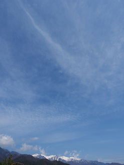 P4220215_thumb.png