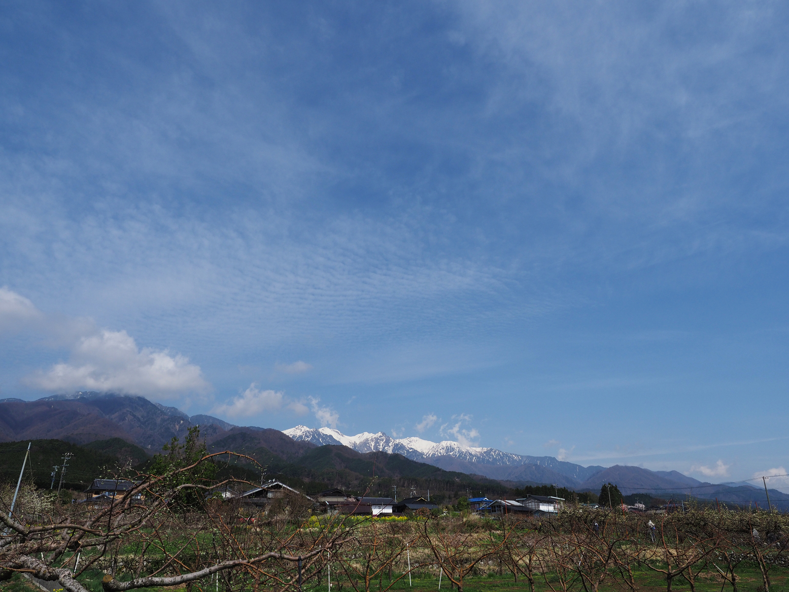 P4220216.jpg