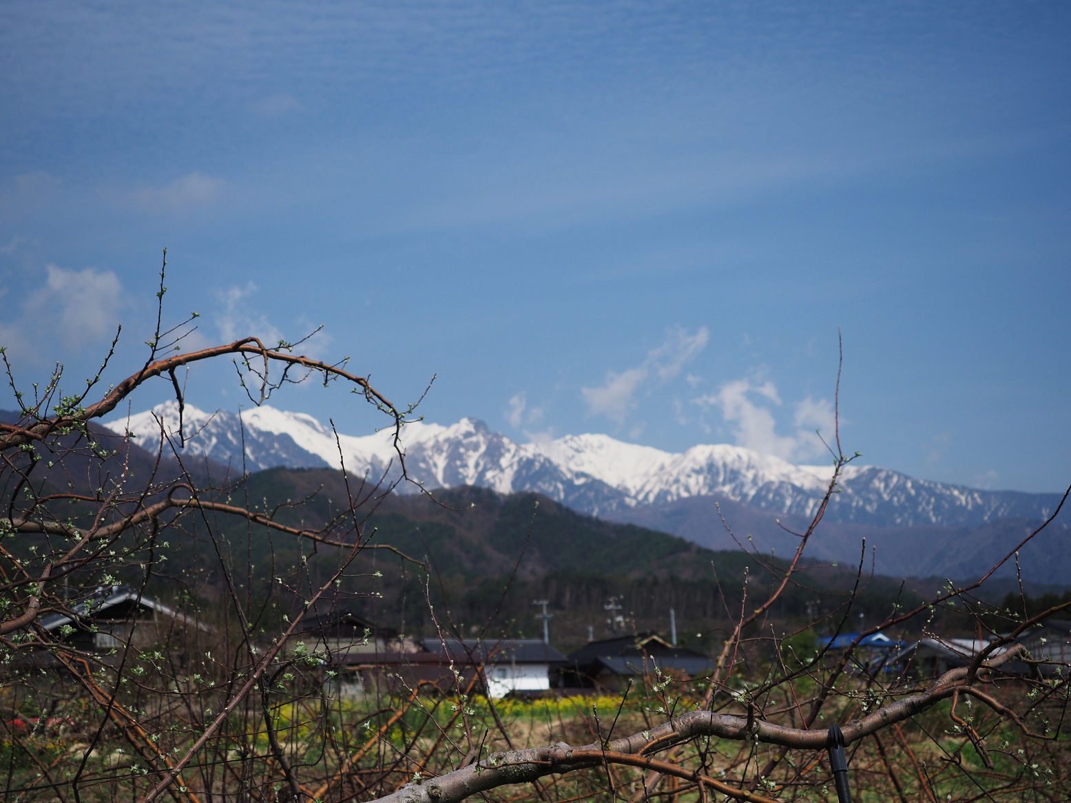 P4220217.jpg