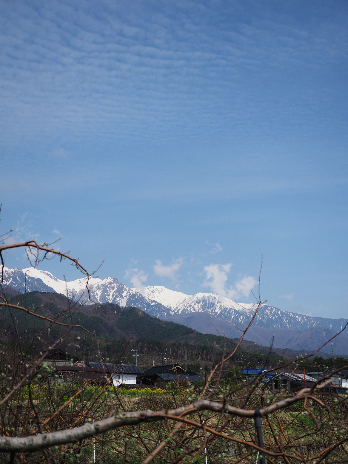 P4220221.jpg