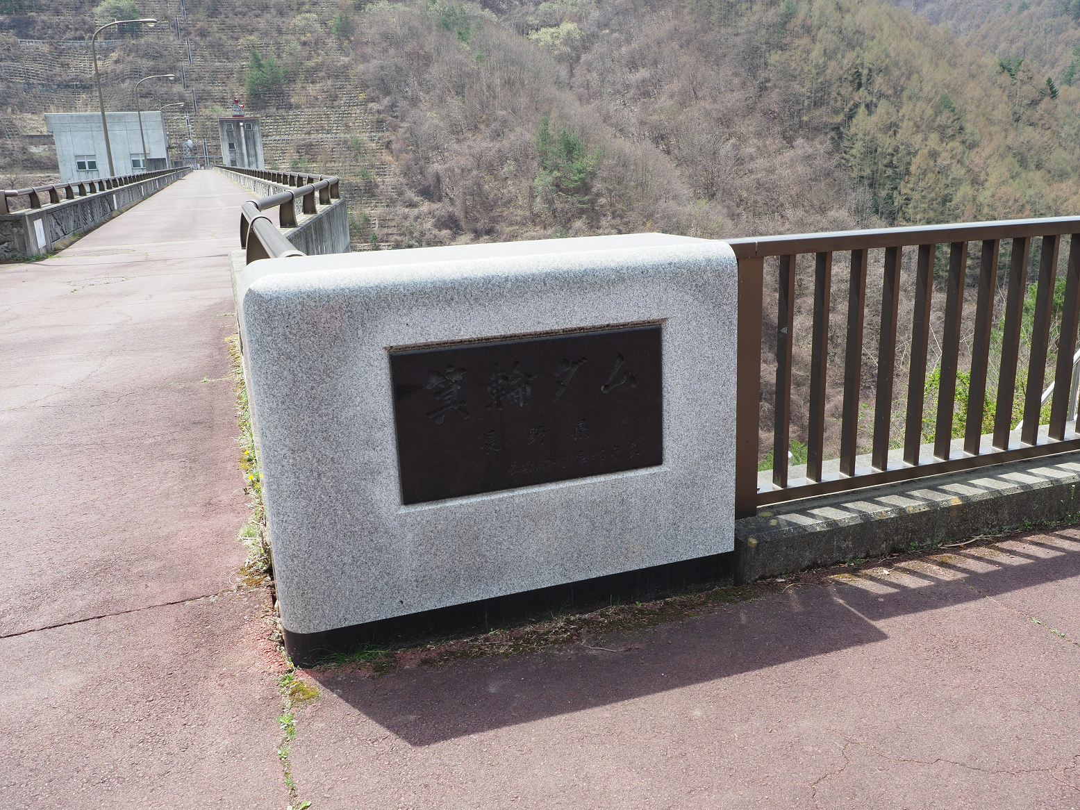 P4220238.jpg