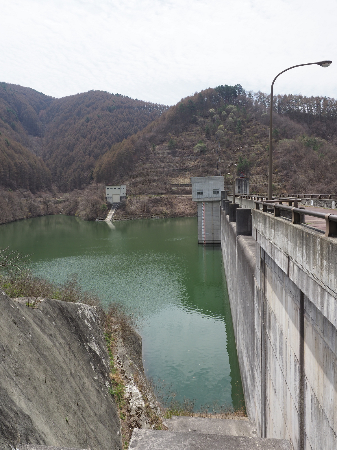 P4220242.jpg
