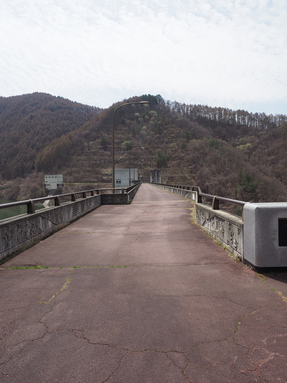 P4220243.jpg