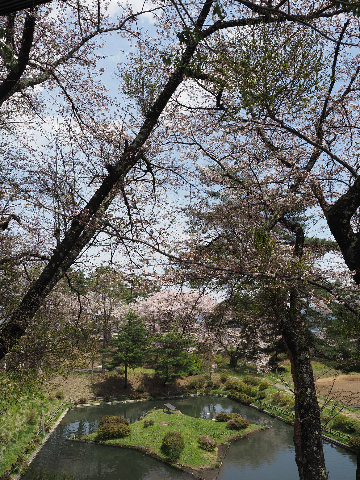 P4220274.jpg
