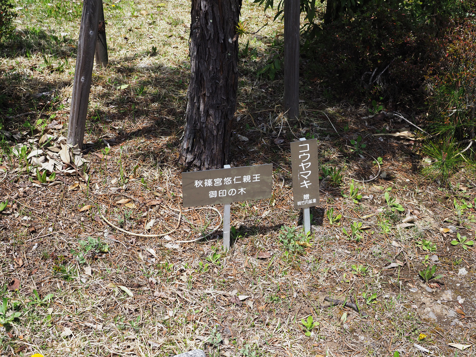 P4220281.jpg