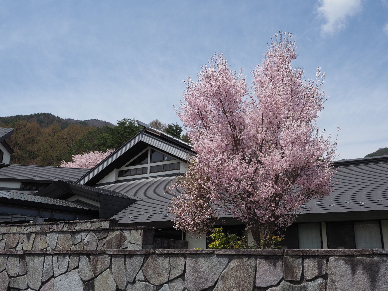 P4220284.jpg