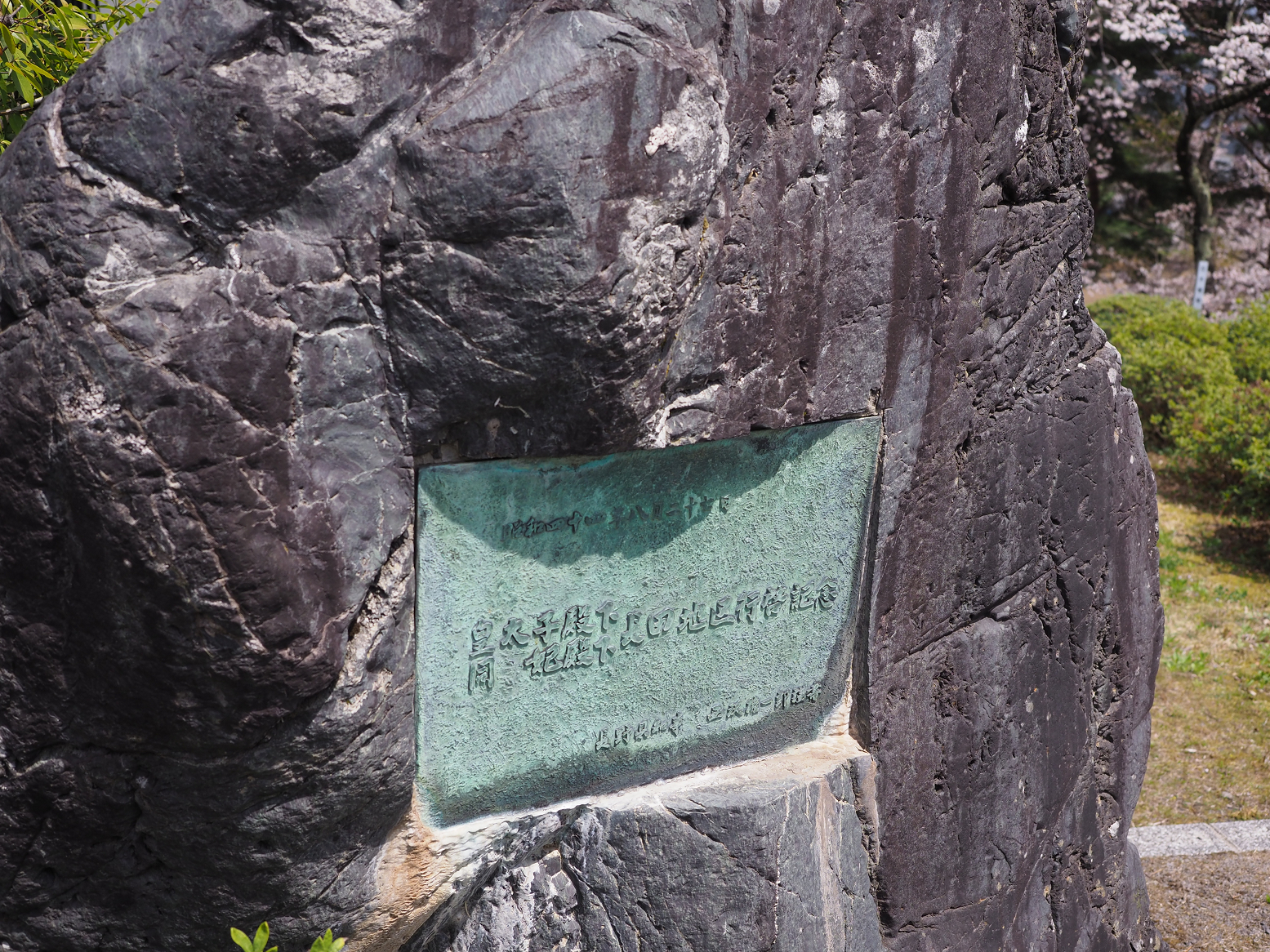 P4220289.jpg