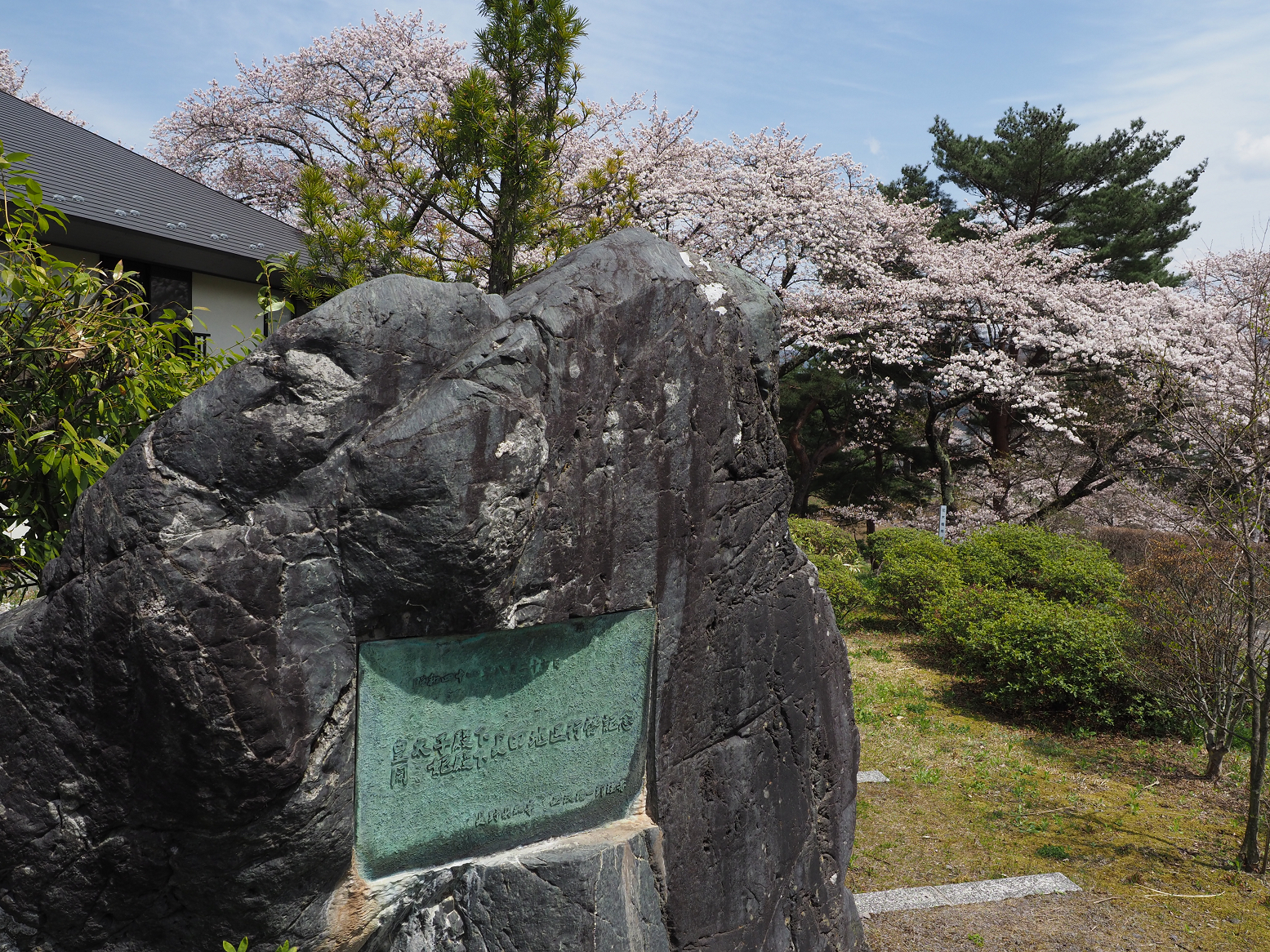 P4220292.jpg