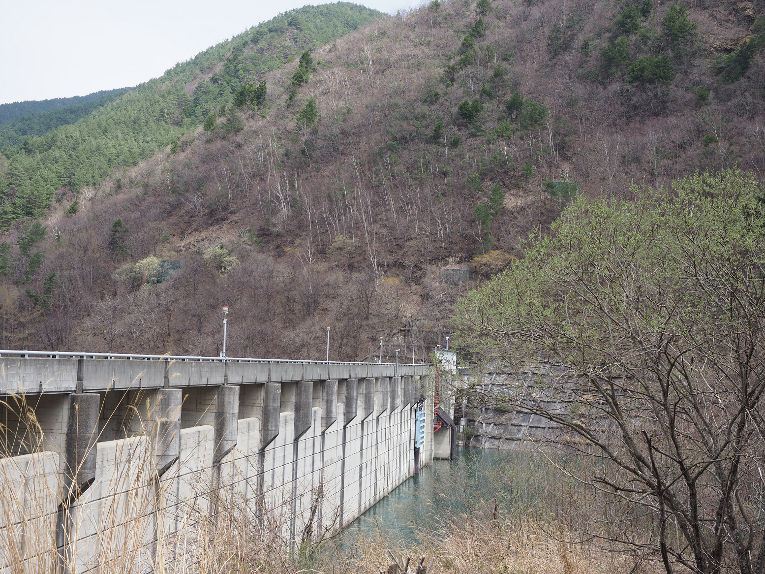 P4220301.jpg