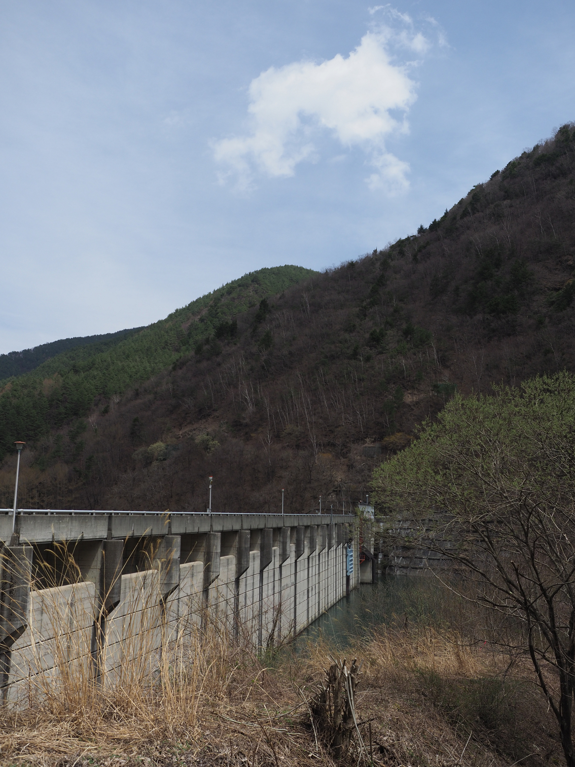 P4220302.jpg