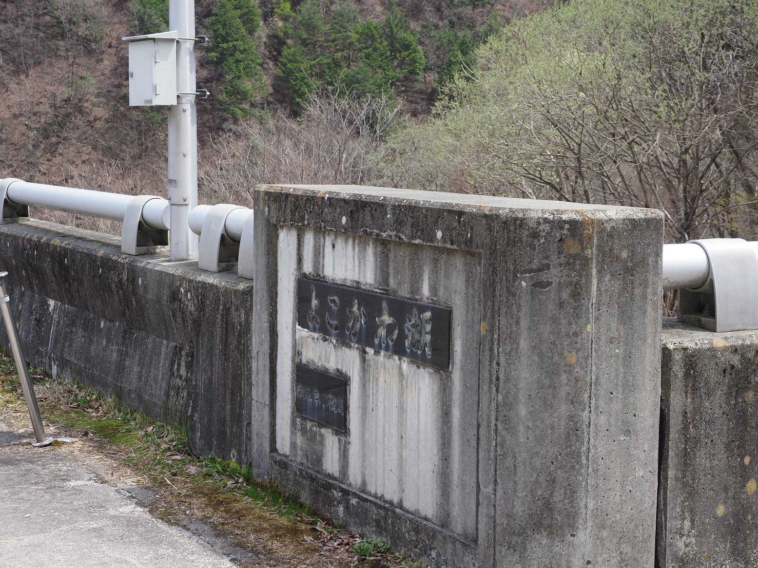 P4220315.jpg
