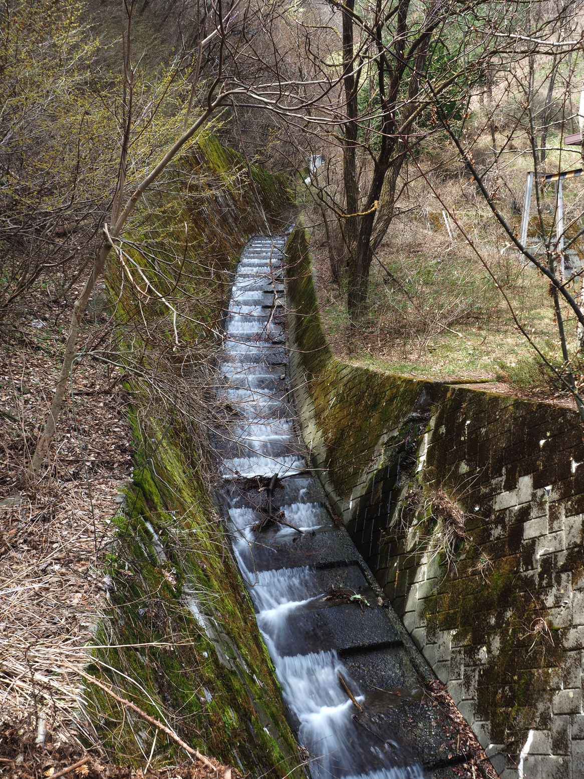 P4220316.jpg