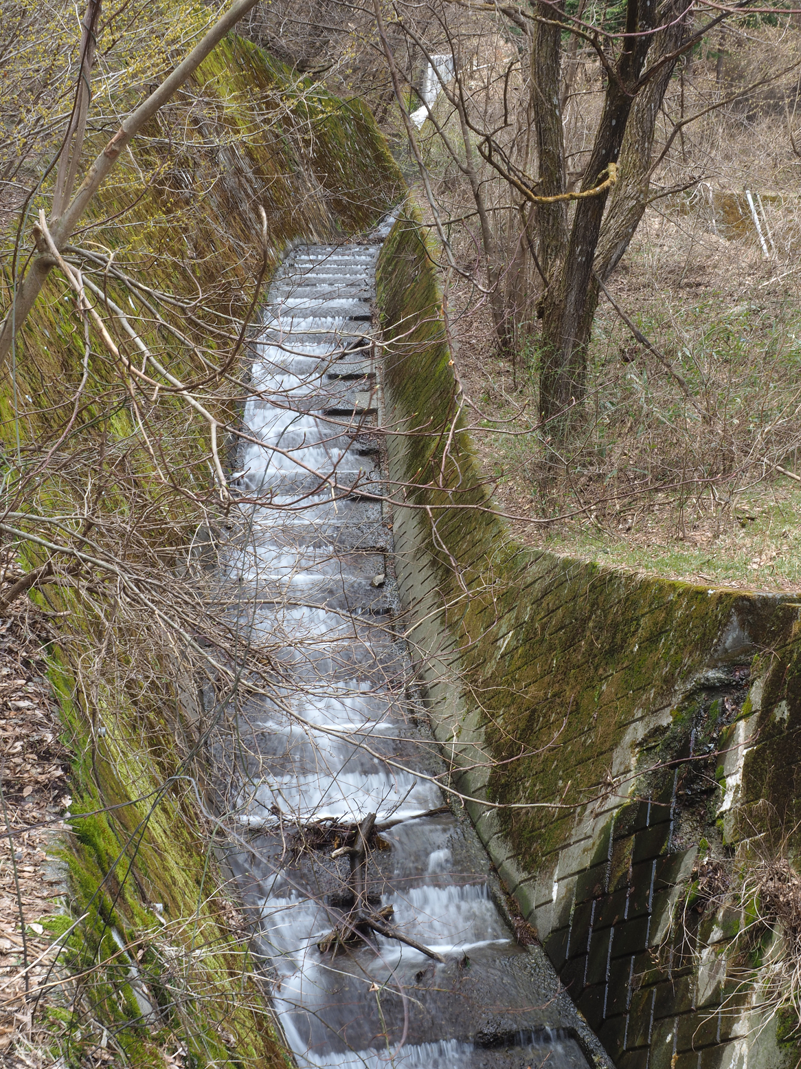 P4220317.jpg