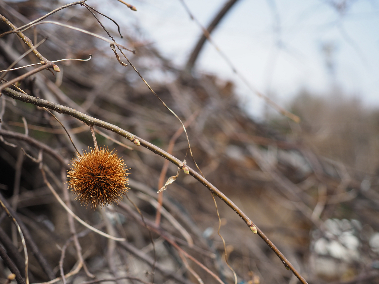 P4220327.jpg