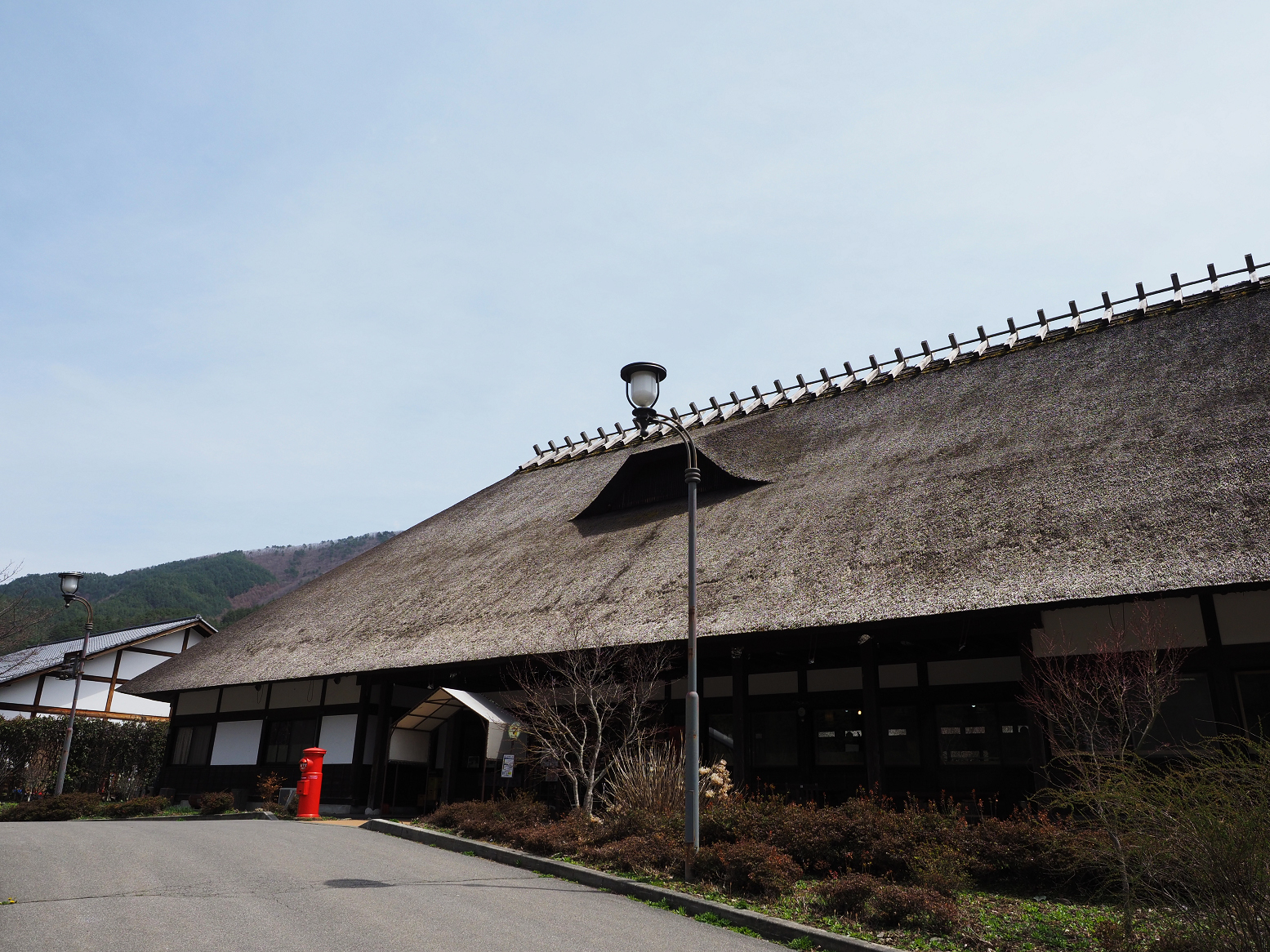 P4220333.jpg