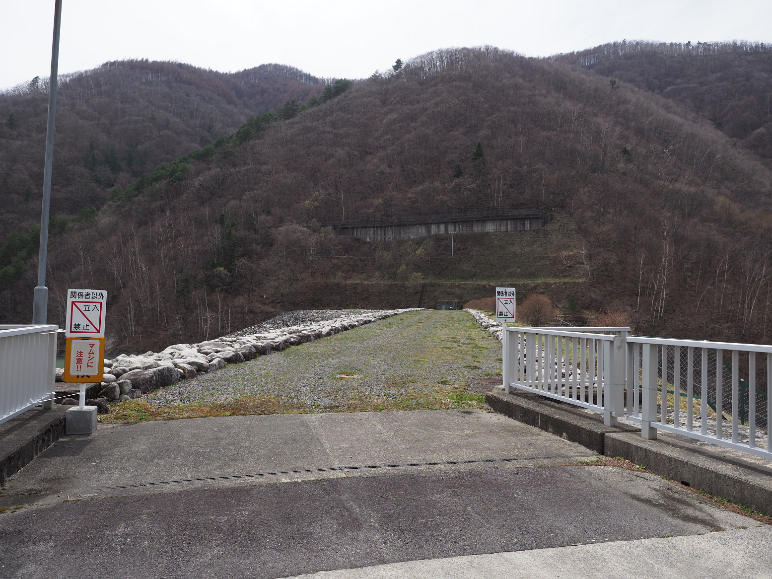 P4220343.jpg