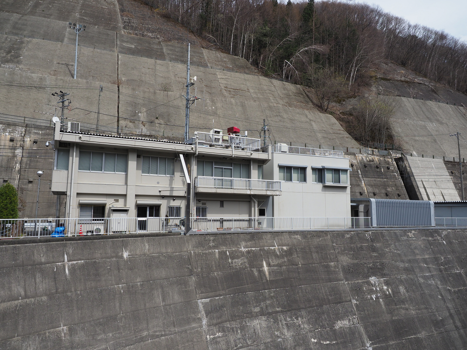P4220344.jpg