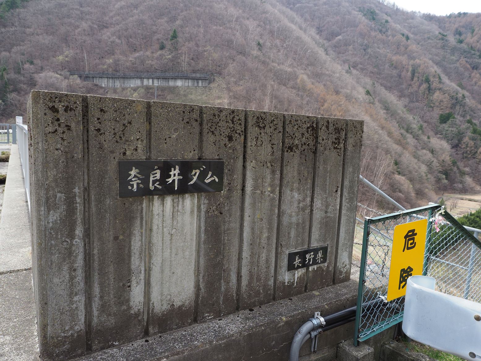 P4220346.jpg