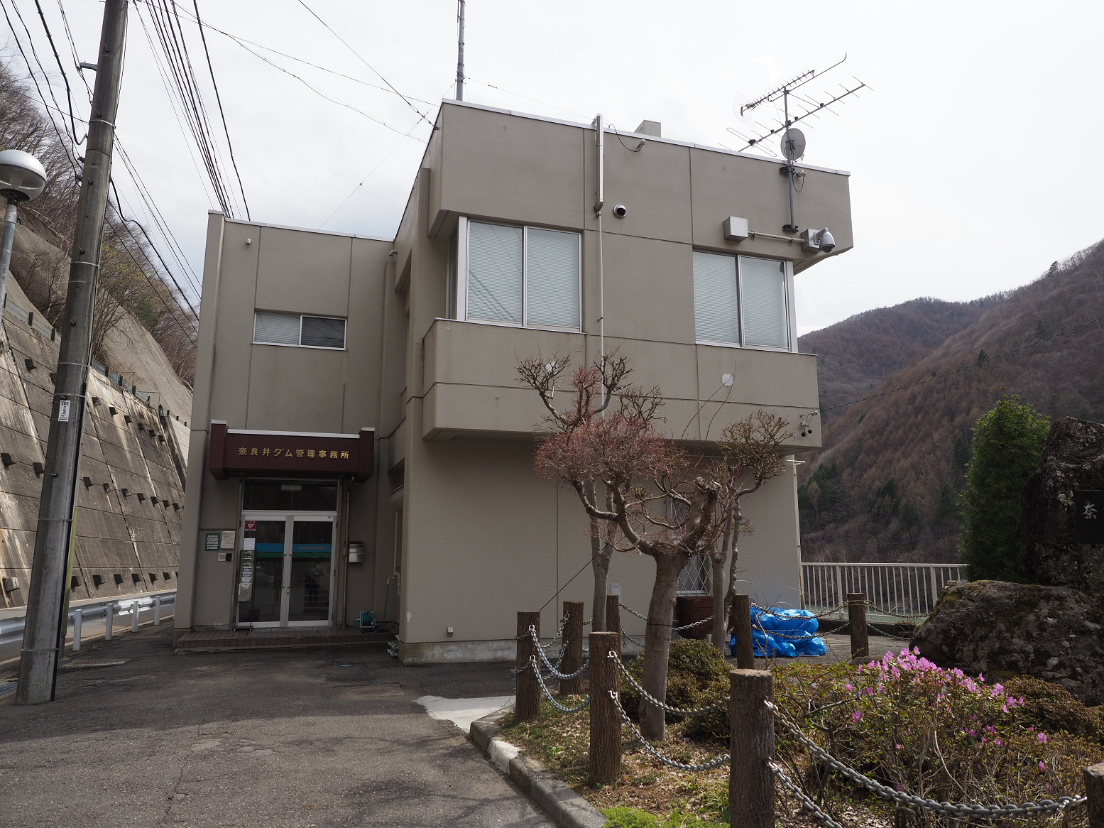 P4220349.jpg
